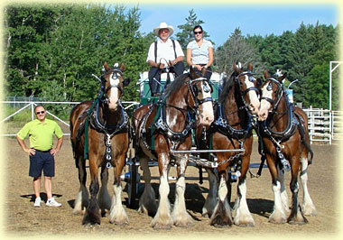 Four Abreast entry of Cranbrook Clydesdales